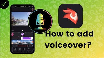 How to add voiceover to video on Videoleap?