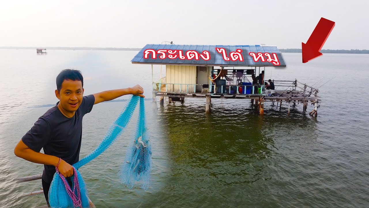 ว่านเแห ตกปลา ลงข่าย หาอยู่หากินบนกระเตงไต๋หมู บ้านแหลม - บ่าวเคน  บ้านต้อน