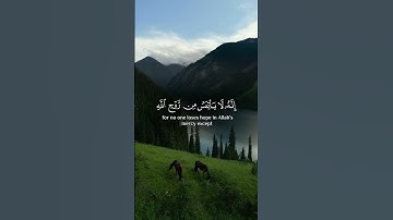 ولا تيأسوا من روح الله 🥹🤍 #القارئ #خالد_الجليل #ارح_قلبك #قرآن #اكسبلور #quran #راحة_نفسية