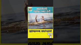 🚨 නිල්වලා ගඟට වැටී තිදරු පියෙක් අතුරුදහන් 🌊 #theday #nilwalariver #matharariver