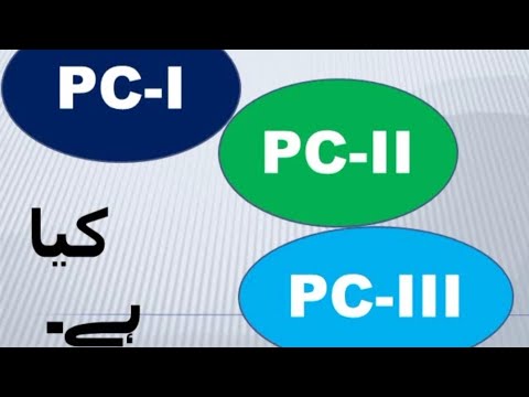 PC1 PC2 in project Management, PC-I PC-II PC-III, PC-IV, PCV And ddwp
