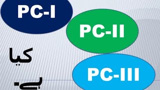 Pc1 Pc2 In Project Management, Pc-I Pc-Ii Pc-Iii, Pc-Iv, Pcv And Ddwp Pdwp Ecnec