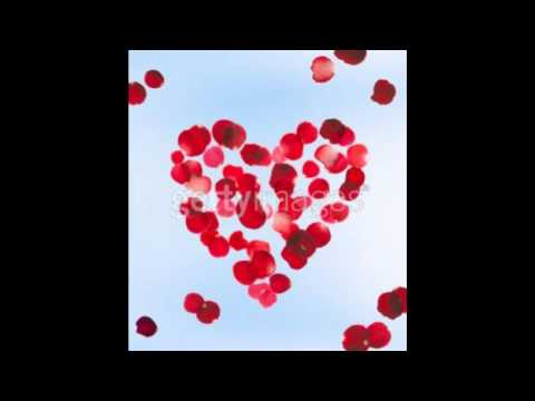 عيد ميلاد سعيد يا احلى و اغلى وردة Wmv 