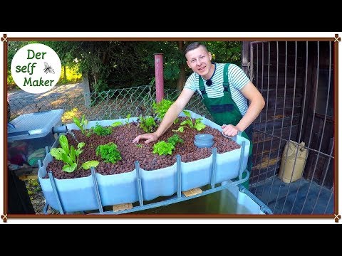 das-aquaponic-system-selber-bauen,-die-bauanleitung
