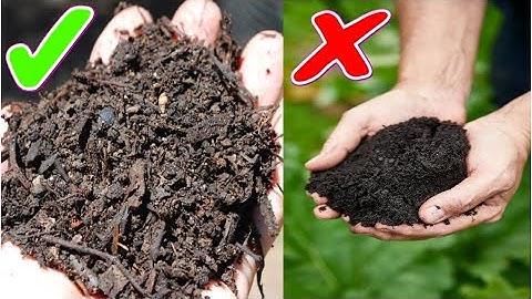 5 Common Composting Mistakes You