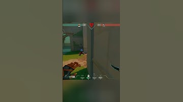 SECRET WALL HACK! ☠️