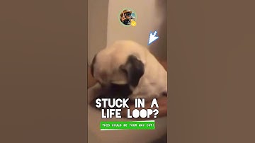 Feeling Stuck in a life Loop? This video is for you! 👌 #motivational #shorts #humor