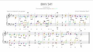 Video thumbnail of "Bach Chorale BWV 341 Harmonic analysis with colored notes - Heut ist, o Mensch, ein großer-"