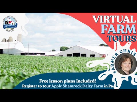 Vídeo: Shamrock Farms Dairy Tour pelos bastidores no Arizona