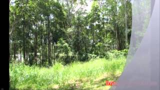 16 Advance Road, Kuluin 4558