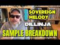 The Samples Behind Dillinja – Sovereign Melody | Jungle Sample Breakdown