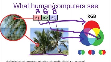 Lecture 2 - Image Processing 1 - Display, Colors, Resizing, Rotations - Computer Vision - COMP 4423