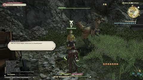 FFXIV -  Leves of Wineport