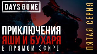 DAYS GONE✮ПРИКЛЮЧЕНИЯ ЯШИ и БУХАРЯ В ПРЯМОМ ЭФИРЕ✮5 СЕРИЯ