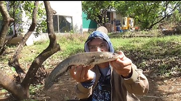 chia sẻ điểm câu cá lóc mới tại iagrai huynhvananfishing