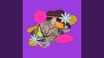 Pulsating Ambience for Relaxing Cats