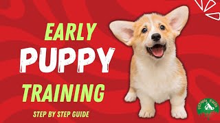 10 essential early lessons for your furry friend