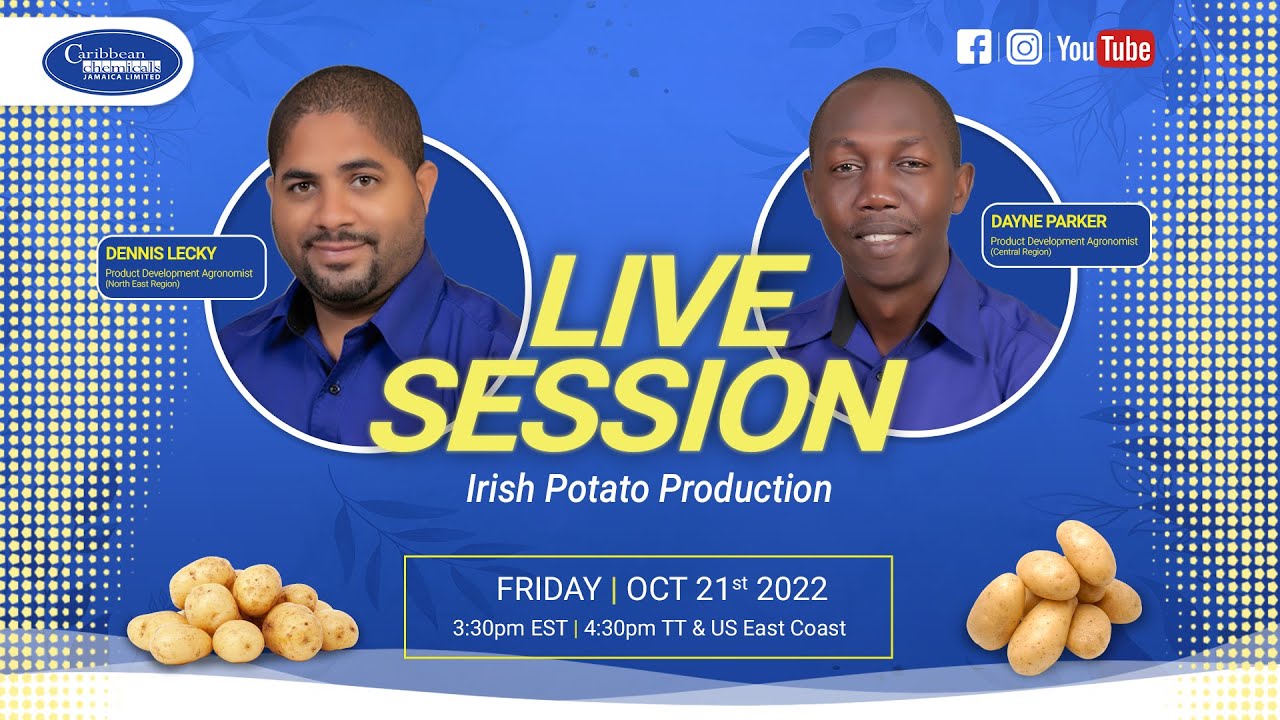 Caribbean Chemicals: Irish Potato Production - Oct 20, 2022