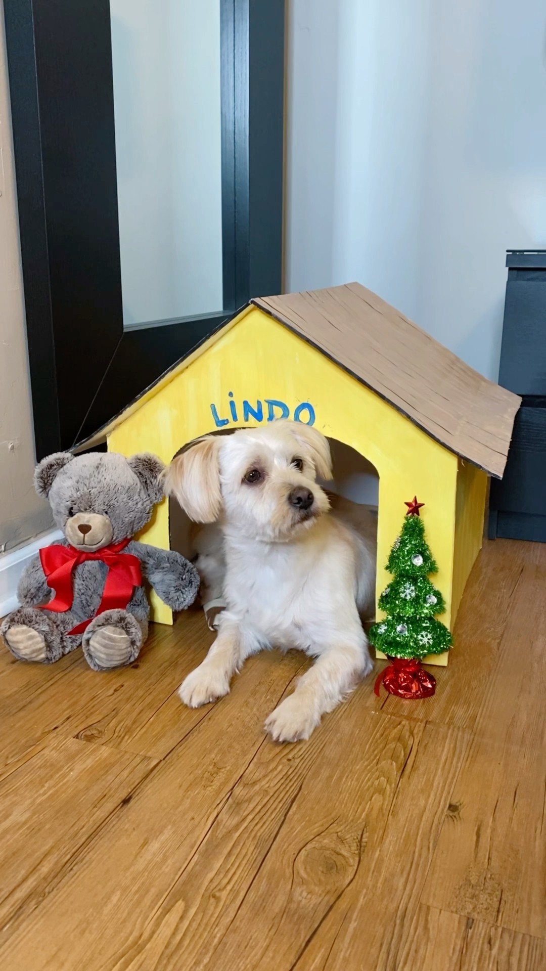 Monster builds home for puppy ?? #shorts
