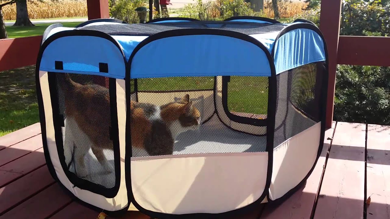 cat travel playpen