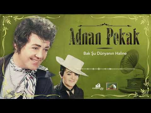 Adnan Pekak - Bak Şu Dünyanın Haline (1965)