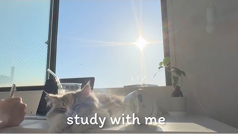 🌅 日の出を見ながら一緒に勉強する / STUDY WITH ME ! / おすすめBGM集 / 1時間