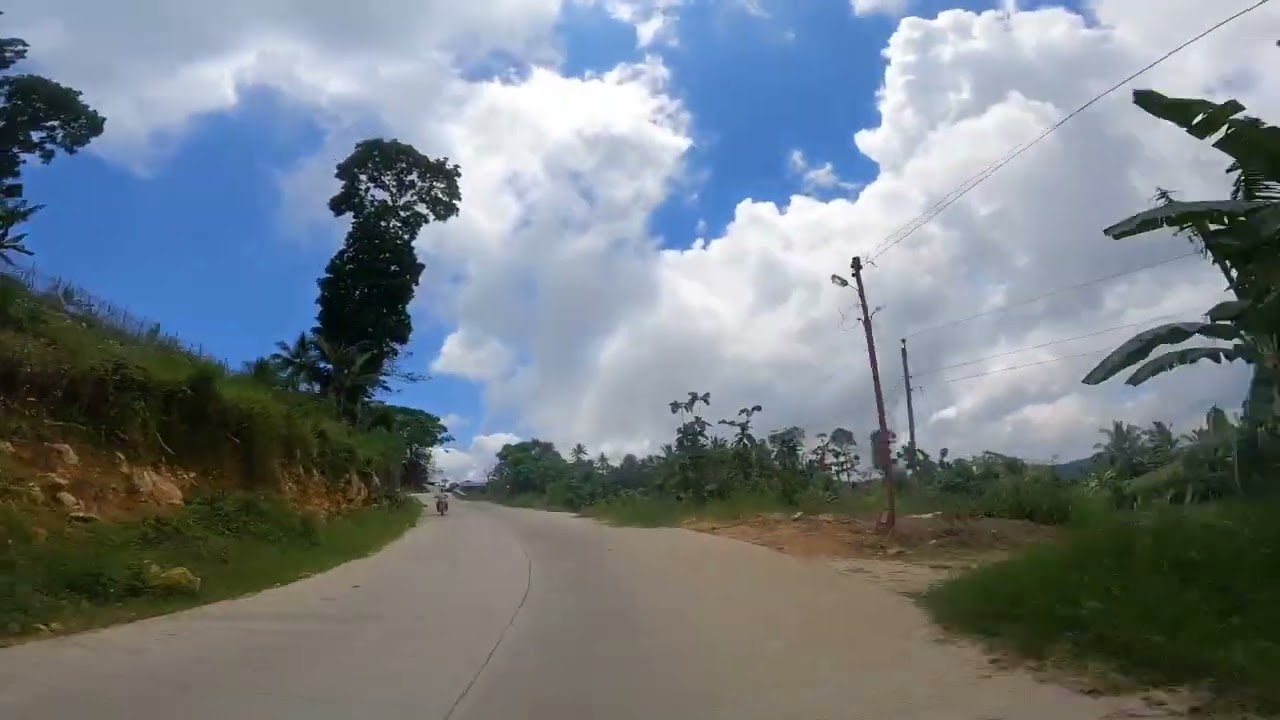 BRGY. CANSUJE ARGAO CEBU⛰️⛰️🌲
