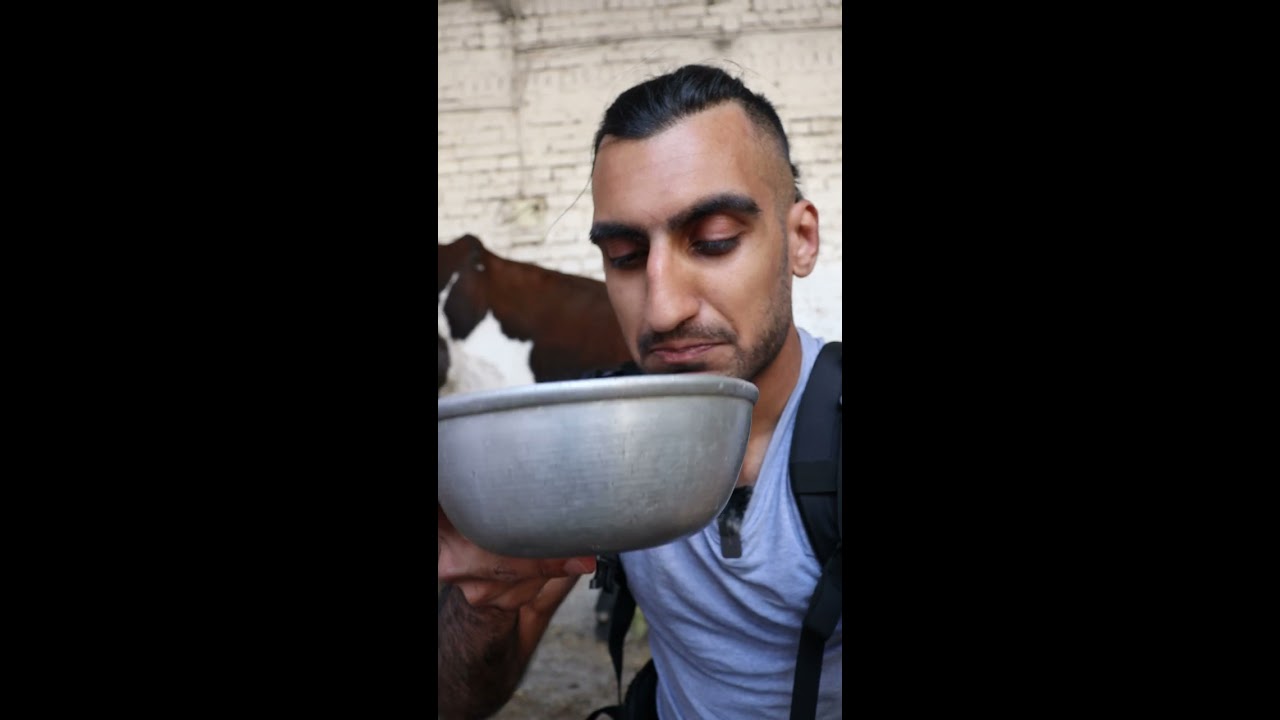 Let S Try Raw Cow Milk