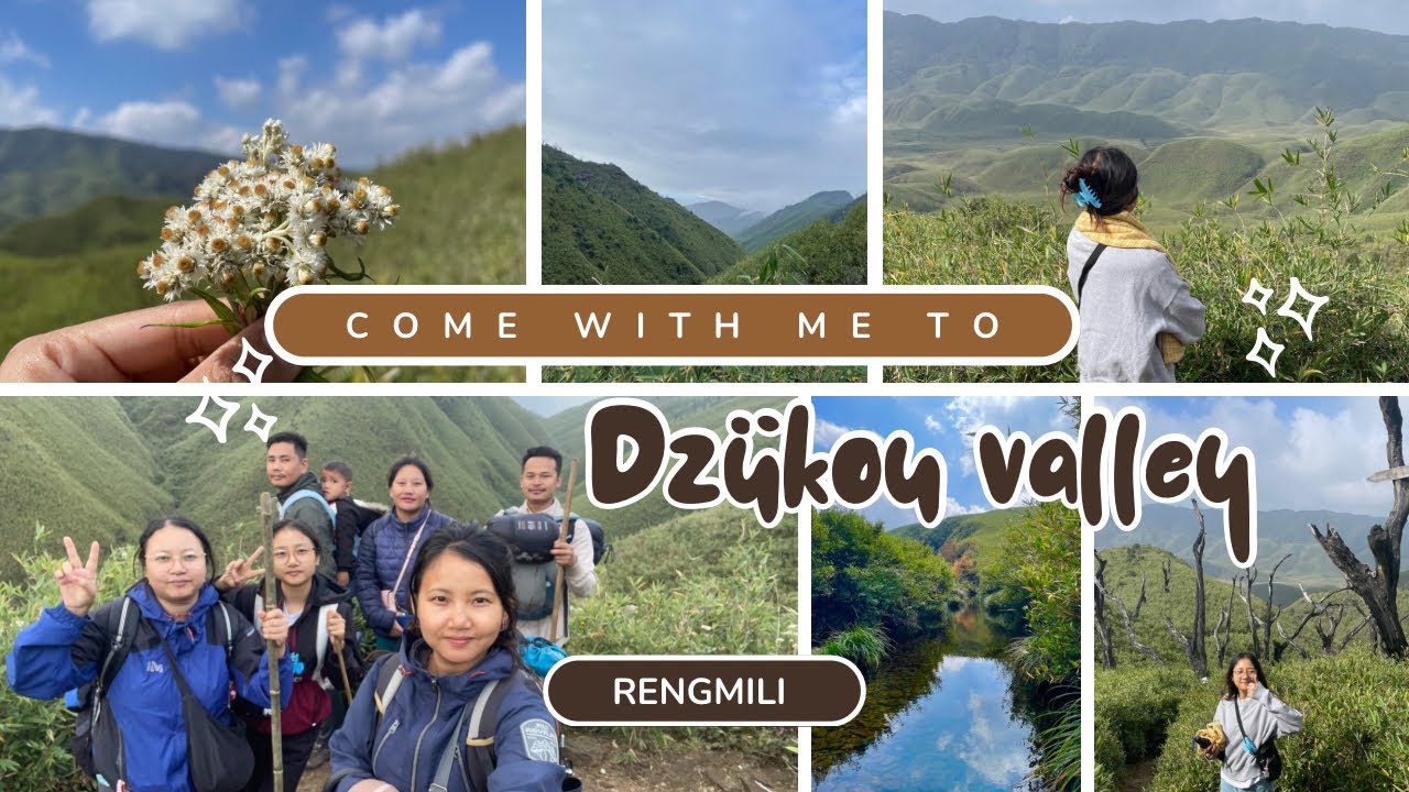 Trekking to Dzukou Valley || Northeast India ||Travel Vlog ✨🏞️ 