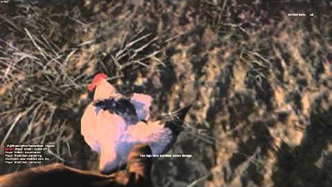 Arma 3 Breaking Point - how to kill a chicken with a knife