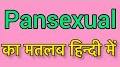 Video for Pansexual meaning in Hindi