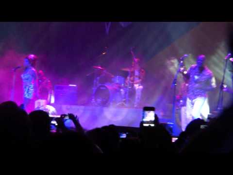 Amy Winehouse -