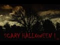 Creepy Sounds of Ghosts in a Haunted Forest
