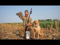 Dove Hunting My Leased Corn Field on Opening Day!!