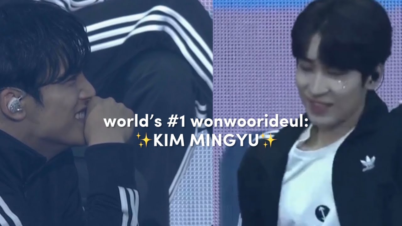 just mingyu being world's #1 wonwoorideul for two minutes straight