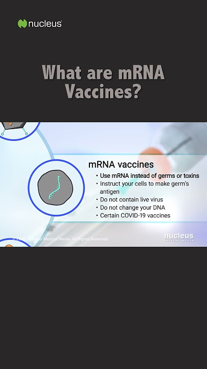 What are mRNA Vaccines?