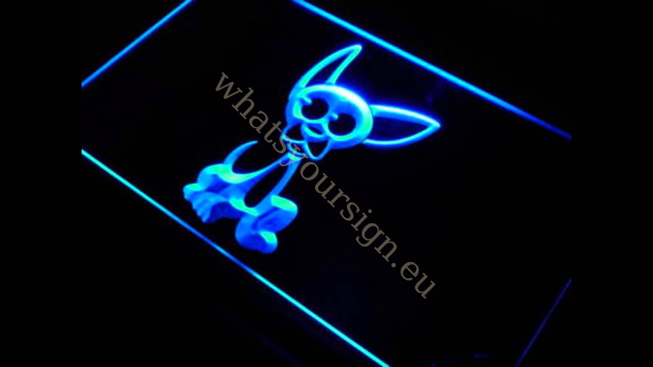 Chihuahua LED neon light sign display YouTube