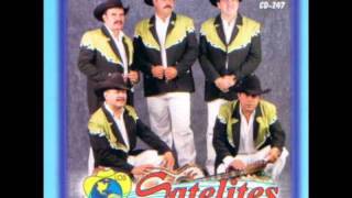 santa rita satelites de jalisco