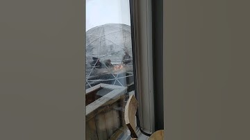 At Crossmount Cider Company #theboyswithcharm #canadalife #shortsvideo #shorts