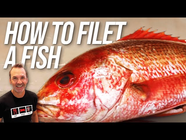 How to Fillet a Fish - Red Snapper