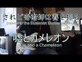 However the Illusionist Shakes the Dice - Lie and a Chameleon (Guitar Cover)