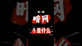 第一期：暗网到底是什么？普通人真的能进暗网吗？暗网地址获取方法｜Tor 洋葱浏览器 / Brave Browser 访问暗网完整指南（慎入）