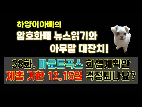 [아무말대잔치] 38화. 마운트곡스 회생계획안 제출 기한 12.15일 걱정되나요?