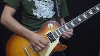 Lynyrd Skynyrd - I Never Dreamed (Solo)