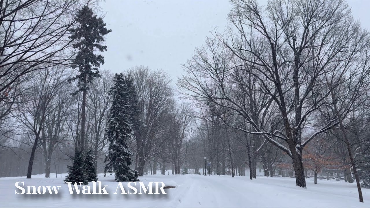 ❄️ ❄️ Snow Walk in Canada | ASMR Sleep