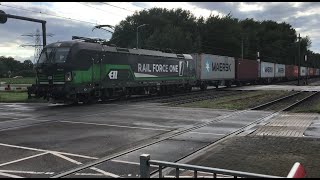 2 Freight Trains at Blerick the Netherlands May 16-2024 ! RFO and DB Cargo , Trainspotter video👍👍👍🚂🚂