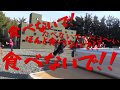 異色装備交流祭~異装祭~開幕【駄メサバ】#特別編【プレサバ】