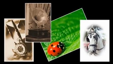 Part 2 of 6: Background, Raster, Vector and Art Media Layers