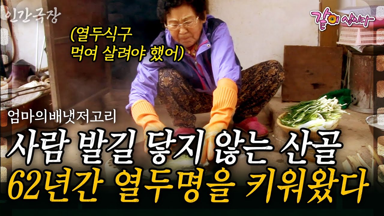 1부🎬 첩첩산중 사람의 발이 닿지 않는 산골에 60년간 열두명의 식구를 키우기 위해 아궁이를 지킨 엄마가 있었다..  | KBS 2016.01.11