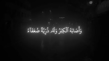 ﴿أَيَوَدُّ أَحَدُكُم أَن تَكونَ لَهُ جَنَّةٌ﴾ تلاوة إبداعية سورة البقره القارئ ياسر الدوسري